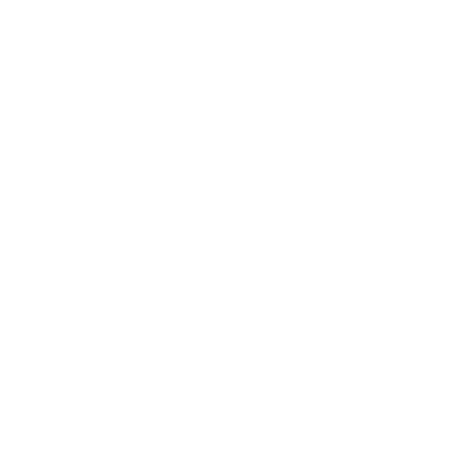Years of Experience Icon
